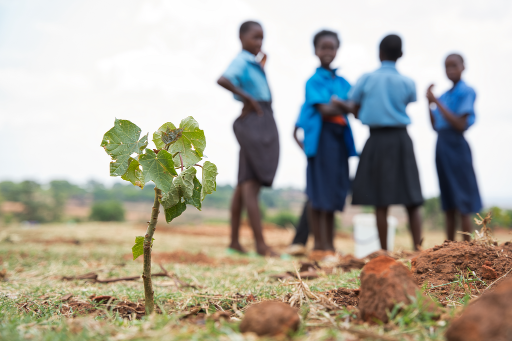 The Earth Warriors project implemented at Nkunga Community School, Katete District run by local partner Impact Network.